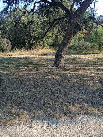 Park