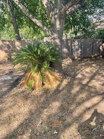 The Terraces at Encino Park HOA Park