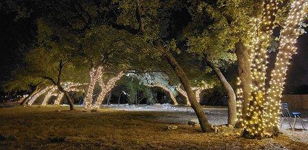 Creekhaven at Bulverde Village HOA Park