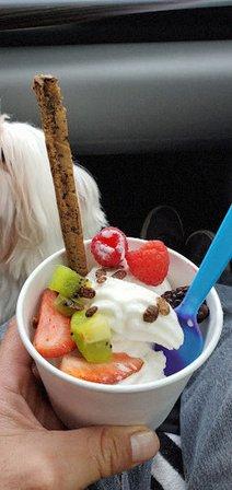 Yogurt Zone