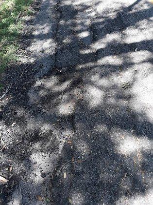 Rice Road Trailhead
