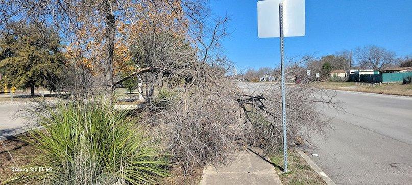 Dellcrest Park