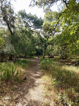 Salado Creek Greenway