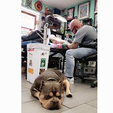 Tattoo Perfection Adkins