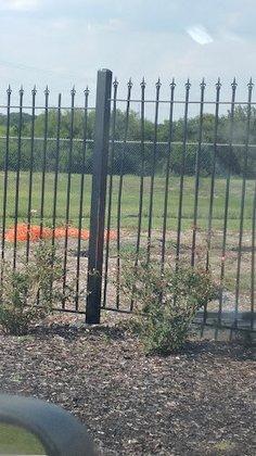 Willow Pointe Park