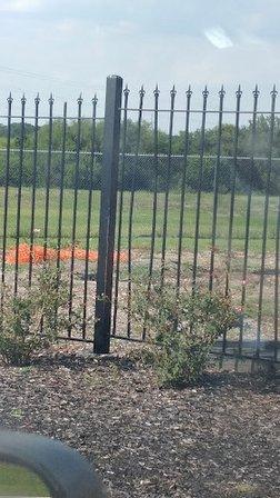 Willow Pointe Park