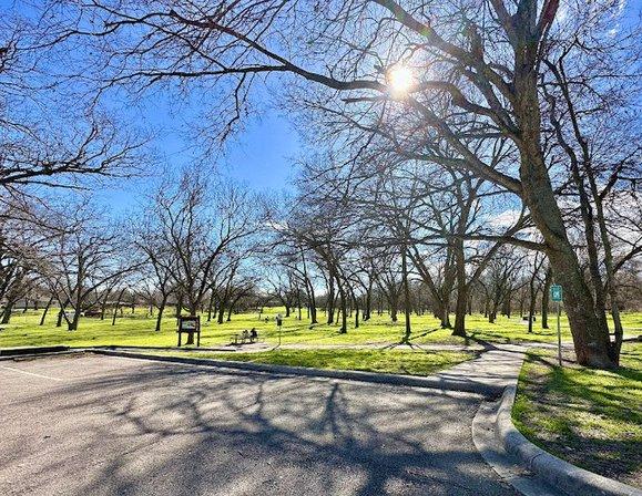 Torrey Park
