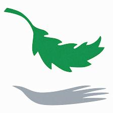 Sage Care Management