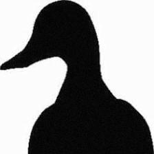Duck Inn