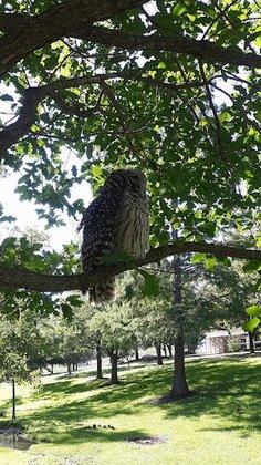 Belmeade Park