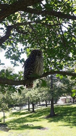 Belmeade Park