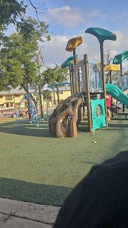 Ward Park