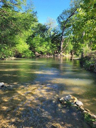 James Kiehl Natural Area