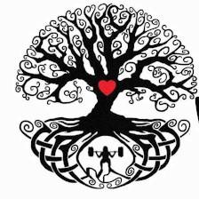 Scheer Wellness LLC