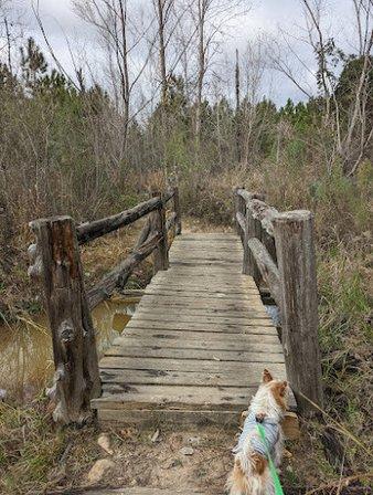 Bastrop State Park