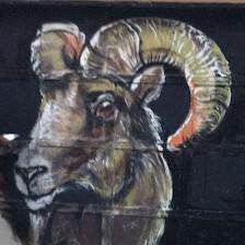 The Old Goat House