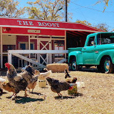 The Roost Cabins and RV at Medina Lake