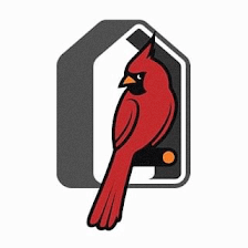 Lupe Molina Lone Star Elite Realty Group brokered by Redbird Realty, LLC - San Antonio, TX