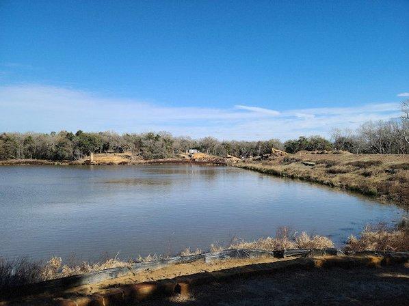 Buescher State Park