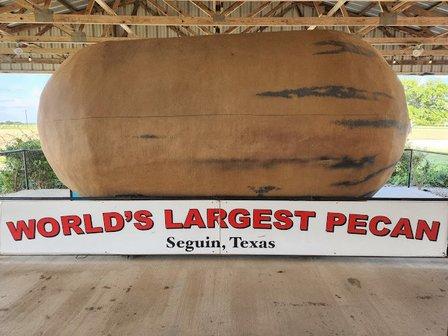 World’s Largest Pecan