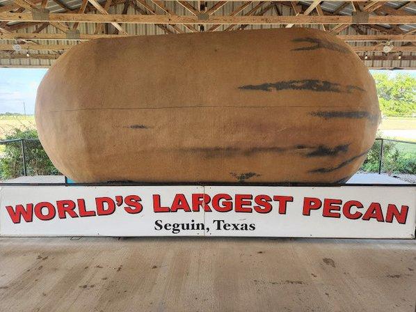 World’s Largest Pecan