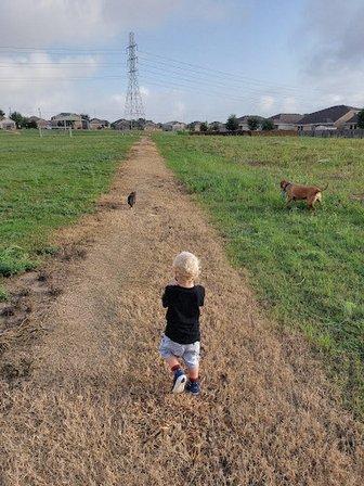 Kensington Ranch Park