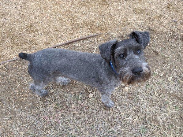 Braunridge Off Leash Dog Park