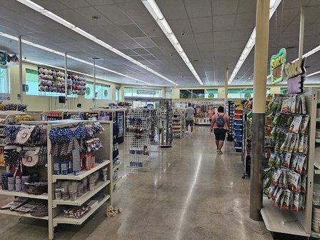 Dollar Tree