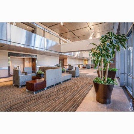 Brightway Insurance, The Jerome Agency