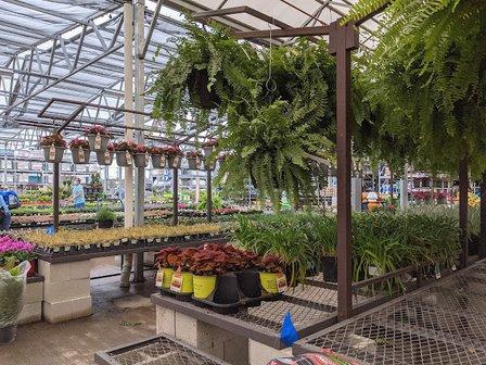 Lowe's Garden Center