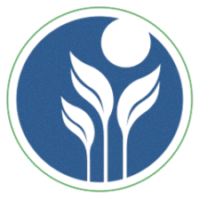 The Montessori School of San Antonio