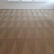 Xcellent Carpet Cleaning