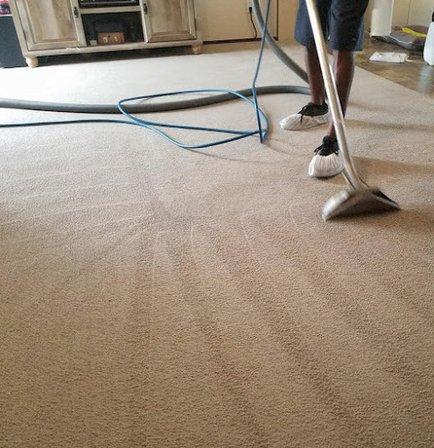 Steamer's Carpet Care
