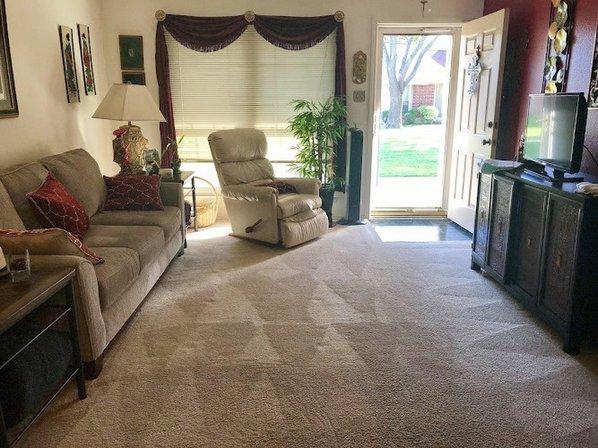 Ace Carpet Cleaning