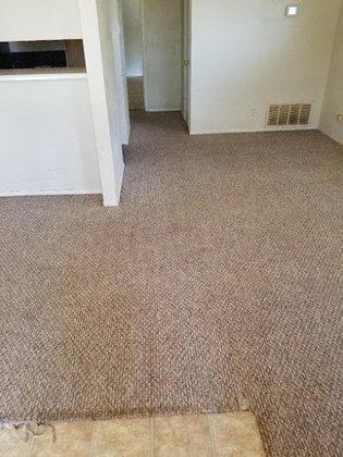 Clean & Dry Carpet Cleaning & Restoration LLC