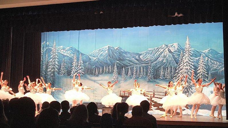 School Of Classical Ballet and Dance