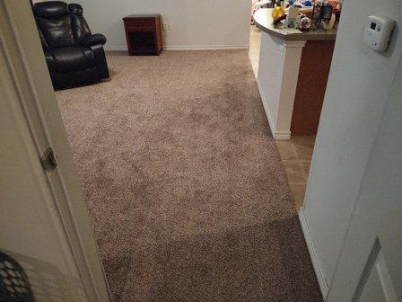 Carpet City