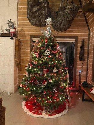 Holiday Hills Christmas Trees Lot 9