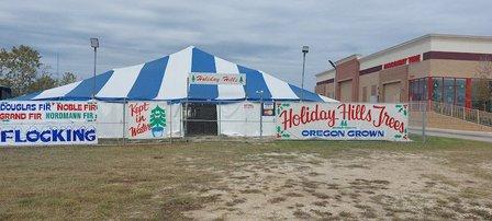 Holiday Hills Christmas Trees