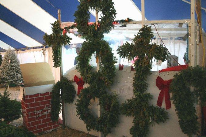Holiday Hills Christmas Trees Lot 4