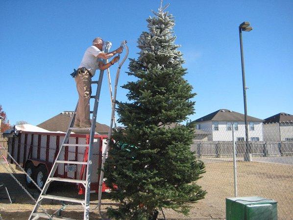 Holiday Hills Christmas Trees Lot 7