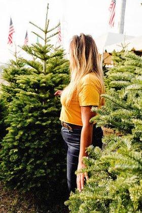 Murphy's Christmas Tree Lot & Pumpkin Patch