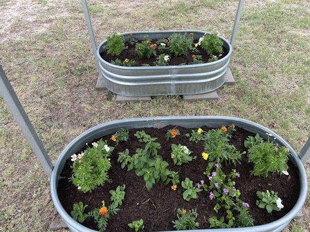 Garden Center at The Home Depot