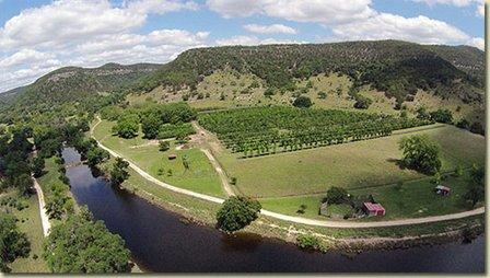 Blanket Creek Tree Farm