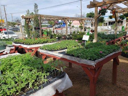 Evergreen Garden Center