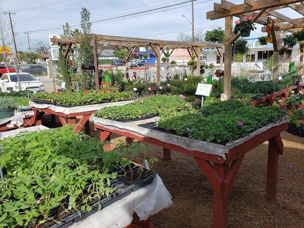 Evergreen Garden Center