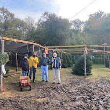 Austin Optimist Club Tree Lot