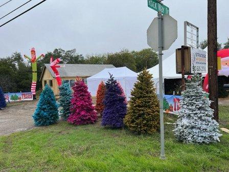 Colorful Christmas Trees
