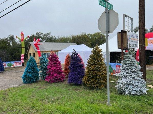 Colorful Christmas Trees