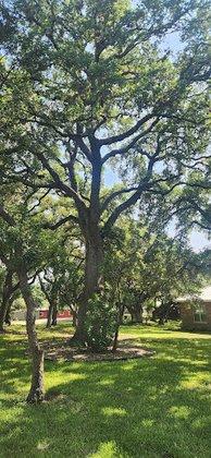 Acton Academy North San Antonio